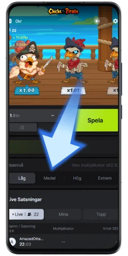 Välj risknivå